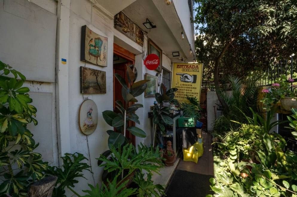 Entrada de Casa Zar, entre plantas y cuadros antiguos